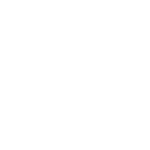 icona street food