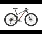 MONDRAKER CHRONO DC - immagine 3