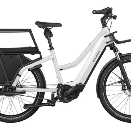 RIESE & MULLER Multicharger Mixte GT family