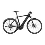 RIESE & MULLER Roadster touring