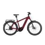 RIESE & MULLER CHARGER4 GT VARIO
