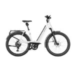 RIESE & MULLER Nevo4 GT touring - immagine 2