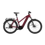 RIESE & MULLER Charger4 Mixte GT vario
