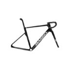 BASSO / LEE COUGAN SV 2025 - immagine 2